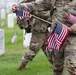 Flags In at Arlington National Cemetery 2025