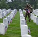 Flags In at Arlington National Cemetery 2025