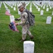 Flags In at Arlington National Cemetery 2025