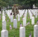 Flags In at Arlington National Cemetery 2025