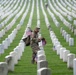 Flags In at Arlington National Cemetery 2025