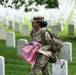 Flags In at Arlington National Cemetery 2025