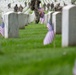 Flags In at Arlington National Cemetery 2025