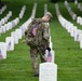 Flags In at Arlington National Cemetery 2025