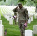 Flags In at Arlington National Cemetery 2025