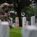 &quot;Flags In&quot;, May 22, 2025
