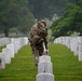 &quot;Flags In&quot;, May 22, 2025