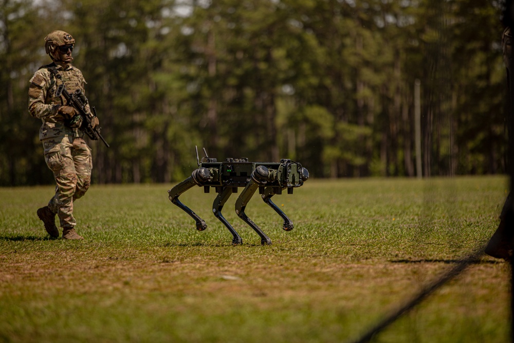 82nd Airborne Division All American Week 2025
