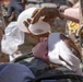2025 Medic Rodeo Mass Casualty Exercise