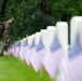 Flags In 2025 at U.S. Soldiers' and Airmen's Home National Cemetery