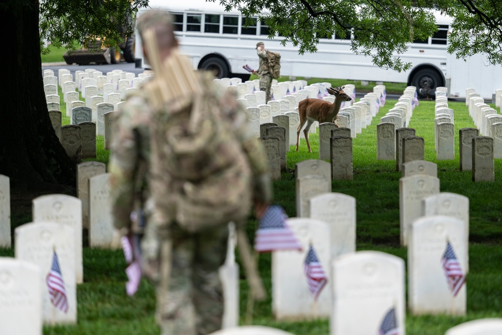 Flags In 2025 at U.S. Soldiers' and Airmen's Home National Cemetery