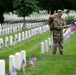 Flags In 2025 at U.S. Soldiers' and Airmen's Home National Cemetery