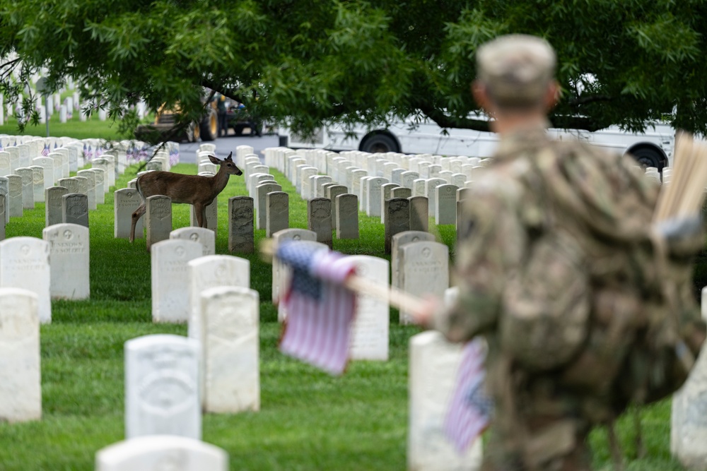Flags In 2025 at U.S. Soldiers' and Airmen's Home National Cemetery