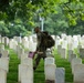 Flags In 2025 at U.S. Soldiers' and Airmen's Home National Cemetery