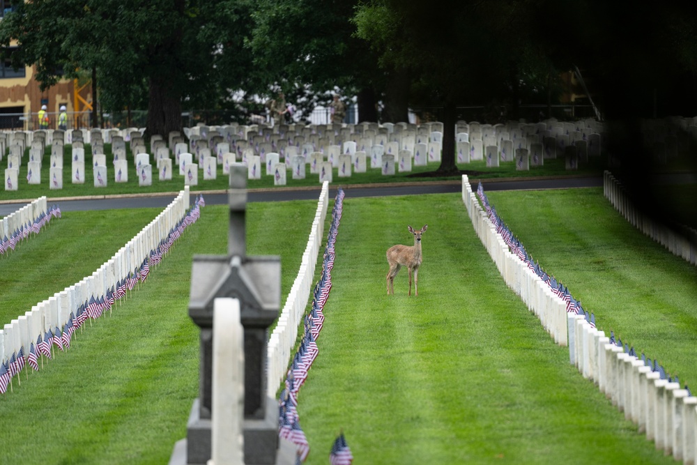 Flags In 2025 at U.S. Soldiers' and Airmen's Home National Cemetery