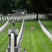 Flags In 2025 at U.S. Soldiers' and Airmen's Home National Cemetery