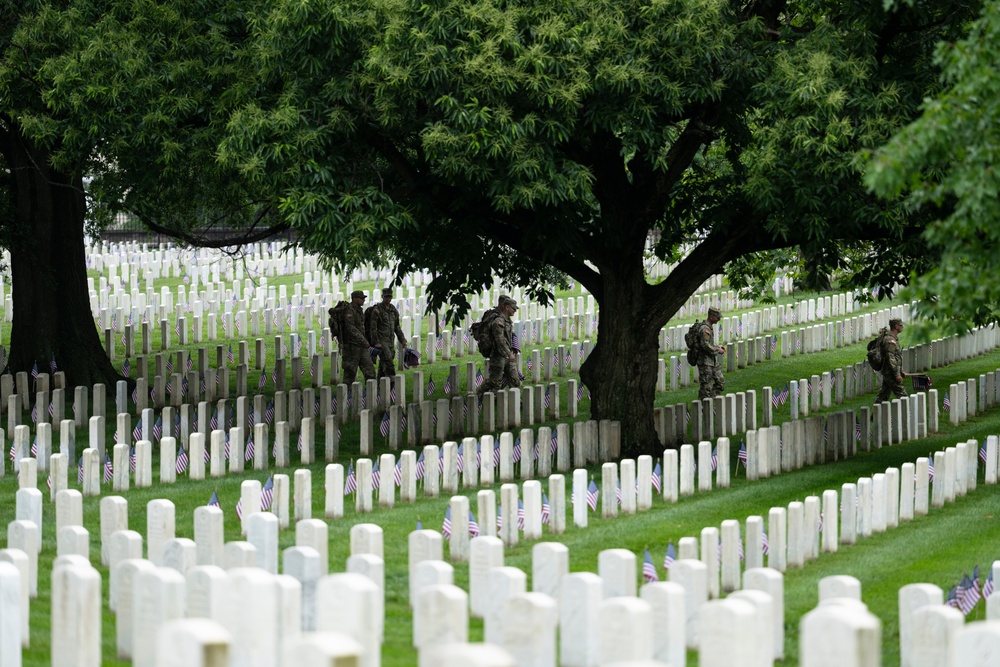 Flags In 2025 at U.S. Soldiers' and Airmen's Home National Cemetery