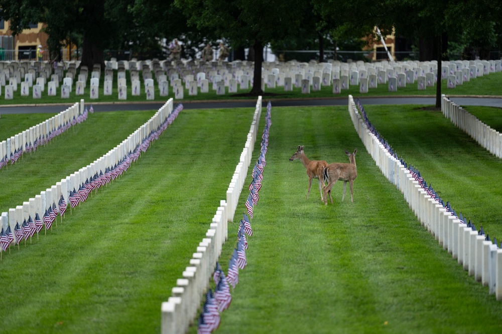 Flags In 2025 at U.S. Soldiers' and Airmen's Home National Cemetery
