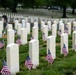 Flags In 2025 at U.S. Soldiers' and Airmen's Home National Cemetery