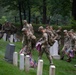The Old Guard's 77th Year of “Flags In” at Arlington National Cemetery