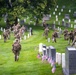 The Old Guard's 77th Year of “Flags In” at Arlington National Cemetery