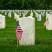 The Old Guard's 77th Year of “Flags In” at Arlington National Cemetery