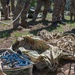 Idaho TACPs Train for Recovery Operations
