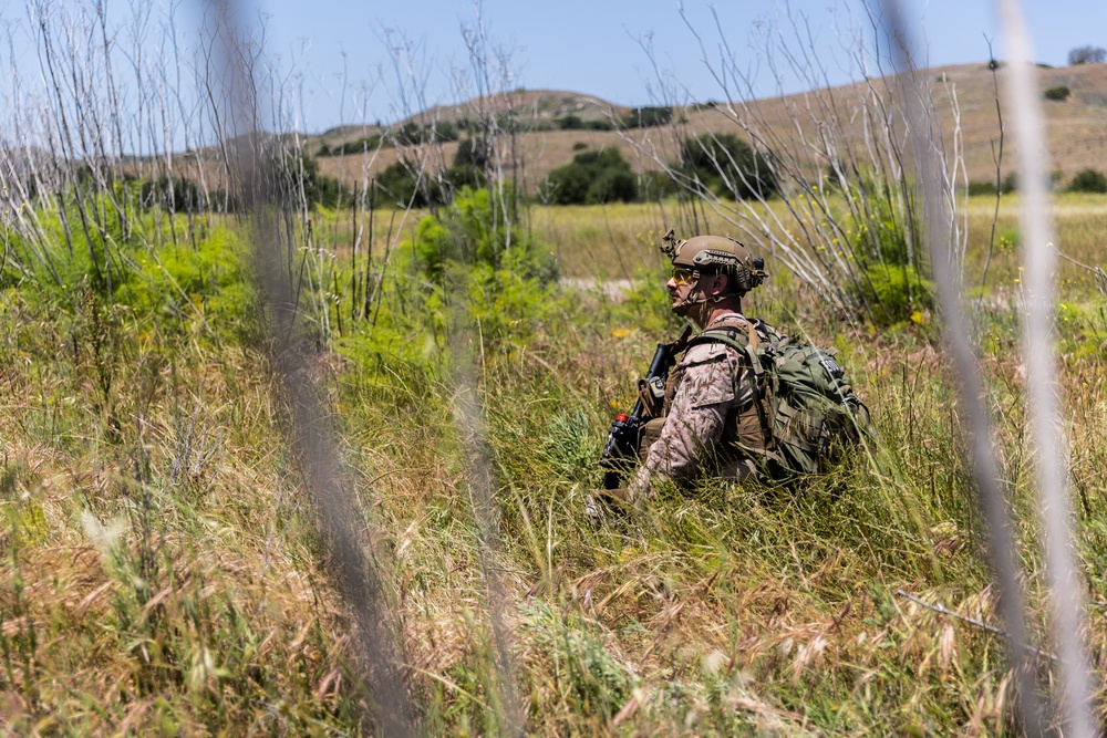 V31 executes EOTG TRAP course