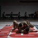 Idaho National Guard hosts Region VI Best Warrior Competition
