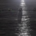 Exercise Caribbean Coastal Warrior 25: beach landing site procedures