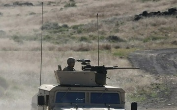 Mojave Falcon 25