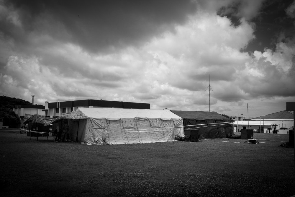 CPX/EMBEX (NMCB-3)