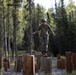 Alaska State Best Warrior Competition 2025: Final Day