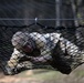 Alaska State Best Warrior Competition 2025: Final Day