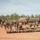 MRF-D 25.3: 2nd Bn., 1st Marines conducts live-fire ranges during Predator’s Walk