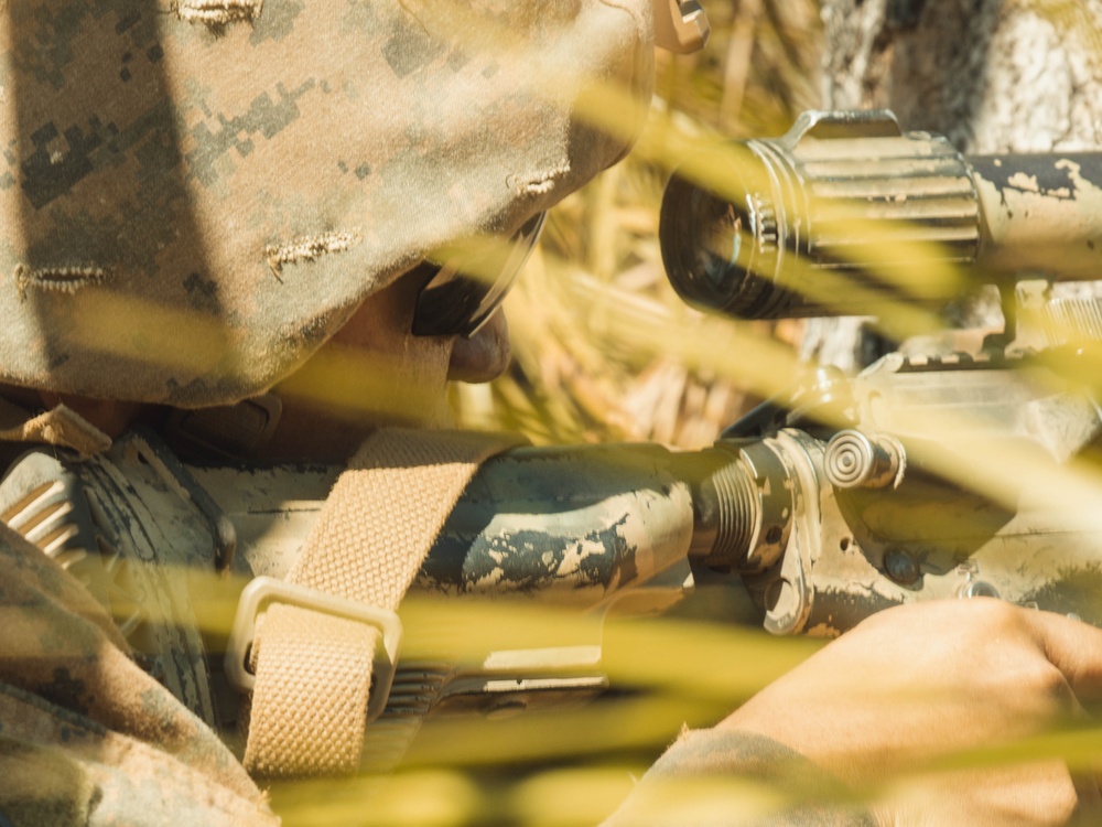 MRF-D 25.3: 2nd Bn., 1st Marines conducts live-fire ranges during Predator’s Walk