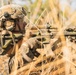 MRF-D 25.3: 2nd Bn., 1st Marines conducts live-fire ranges during Predator’s Walk