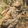 MRF-D 25.3: 2nd Bn., 1st Marines conducts live-fire ranges during Predator’s Walk