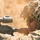 MRF-D 25.3: 2nd Bn., 1st Marines conducts live-fire ranges during Predator’s Walk