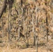 MRF-D 25.3: 2nd Bn., 1st Marines conducts live-fire ranges during Predator’s Walk