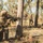 MRF-D 25.3: 2nd Bn., 1st Marines conducts live-fire ranges during Predator’s Walk