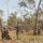 MRF-D 25.3: 2nd Bn., 1st Marines conducts live-fire ranges during Predator’s Walk