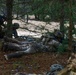 Swift Response 2025: 173rd Airborne Brigade and French soldiers conduct a Military Operation on Urban Terrain