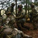 Swift Response 2025: 173rd Airborne Brigade and French soldiers conduct a Military Operation on Urban Terrain