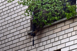 Swift Response 2025: 173rd Airborne Brigade and French soldiers conduct a Military Operation on Urban Terrain [Image 20 of 36]