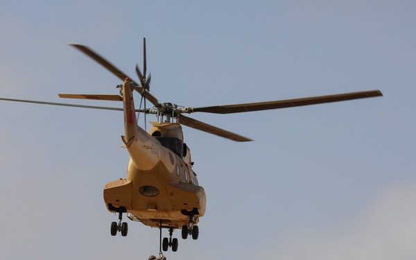 US, Ghana, Hungary, Morocco Special Forces showcase joint strength in Morocco at African Lion 25