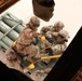 New Hampshire National Guard supports African Lion 2025 in Morocco
