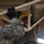 The 147th Attack Wing Participates in Formidable Shield 25 with MQ-9 The 147th Attack Wing Participates in Formidable Shield 25 with MQ-9