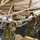 The 147th Attack Wing Participates in Formidable Shield 25 with MQ-9 The 147th Attack Wing Participates in Formidable Shield 25 with MQ-9