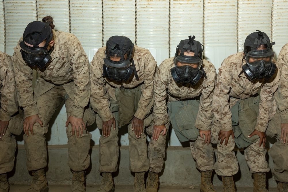 Charlie Company Confidence Chamber